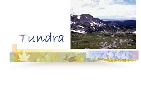 Tundra. A cold biome of the far north; the ground is frozen even in summer There are two seasons in the tundra. They are winter and summer.