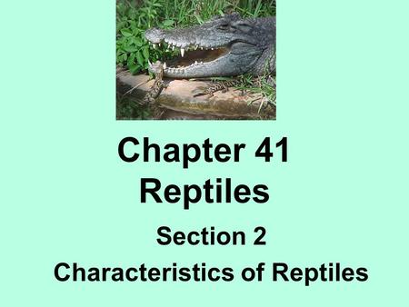 Section 2 Characteristics of Reptiles