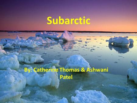 Subarctic By: Catherine Thomas & Ashwani Patel. Latitude Range 50 ̊ to 70 ̊Latitude World Location Canada Alaska Russia Siberia It is south of the Tundra.