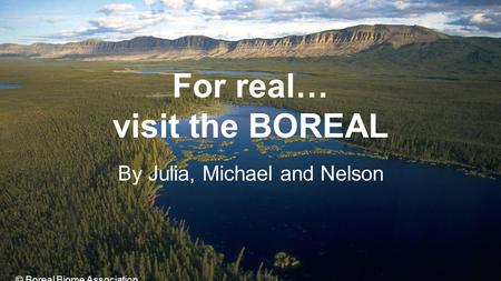 For real… visit the BOREAL By Julia, Michael and Nelson © Boreal Biome Association.