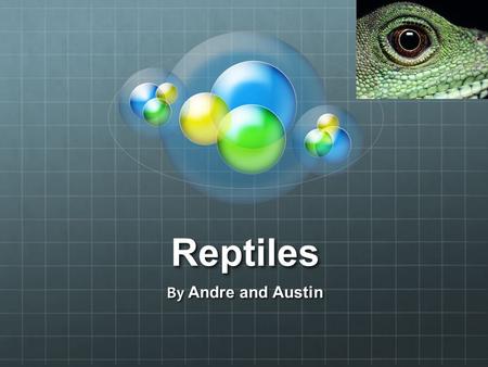 Reptiles By Andre and Austin. Reptilians Today we will talk about reptiles ( reptilians.) Other people, like scientists, call them reptilian.