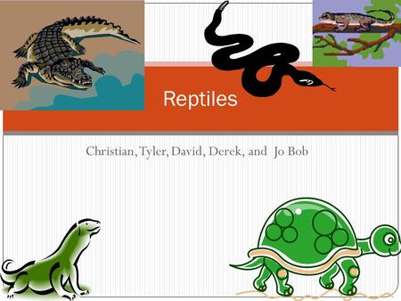 Christian, Tyler, David, Derek, and Jo Bob Reptiles.