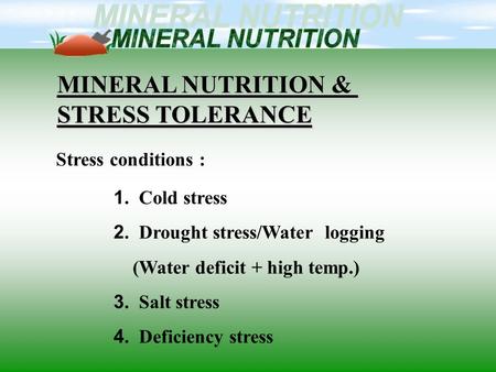 MINERAL NUTRITION & STRESS TOLERANCE Stress conditions : 1. Cold stress 2. Drought stress/Water logging (Water deficit + high temp.) 3. Salt stress 4.