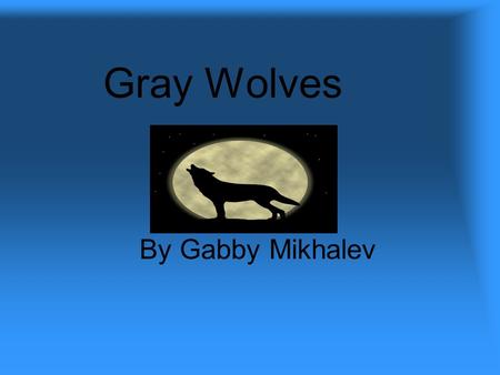 Gray Wolves By Gabby Mikhalev. Introduction Wolves, wolves, wolves. Have you ever seen a gray wolf? Wolves are very close to the dog family. I’m going.