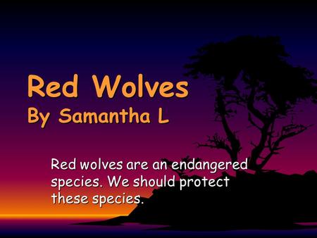 Red Wolves By Samantha L Red wolves are an endangered species. We should protect these species.