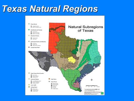 Texas Natural Regions. Extinction Rates  Background (natural) rate of extinction  Mass extinction  Adaptive radiations Number of families of marine.