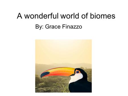 A wonderful world of biomes By: Grace Finazzo. Rainforest Biome rainforest climate is very humid, the rainforest gets an average of 3 meters of rain a.