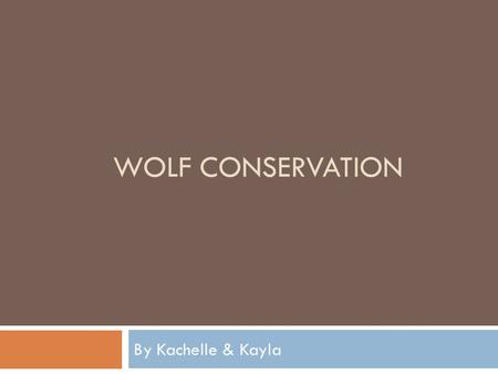 WOLF CONSERVATION By Kachelle & Kayla. The Endangered Species Act The Endangered Species Act provides protection for the organisms placed on the endangered.