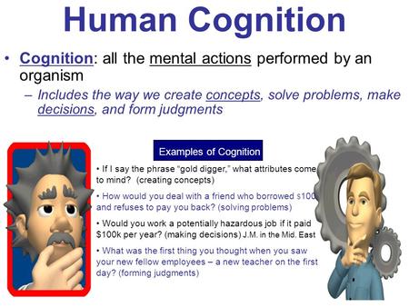 Cognition: all the mental actions performed by an organism –Includes the way we create concepts, solve problems, make decisions, and form judgments Human.