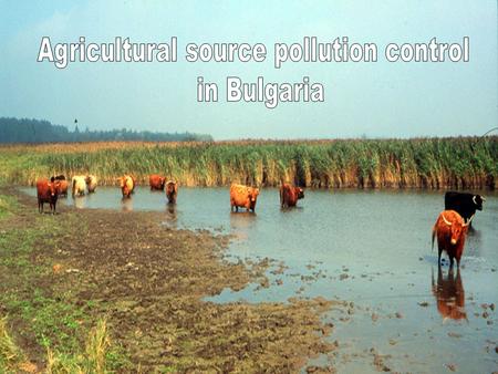 Main agricultural pollution sources in Bulgaria storage of manure storage of fertilizers and plant protection materials use of fertilizers and plant protection.