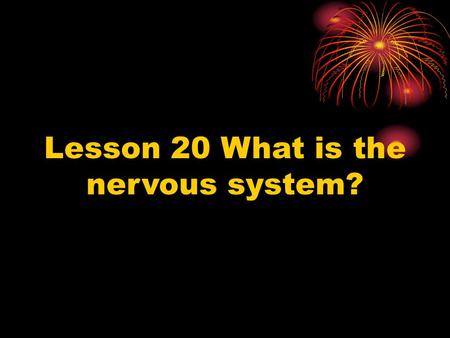 Lesson 20 What is the nervous system?