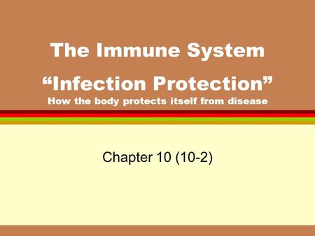 The Immune System “Infection Protection” How the body protects itself from disease Chapter 10 (10-2)