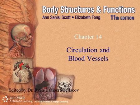 © 2009 Delmar, Cengage Learning Chapter 14 Circulation and Blood Vessels Edited by Dr. Ryan Lambert-Bellacov.