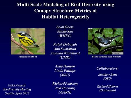 Multi-Scale Modeling of Bird Diversity using Canopy Structure Metrics of Habitat Heterogeneity Scott Goetz Mindy Sun (WHRC) Ralph Dubayah Anu Swatatran.