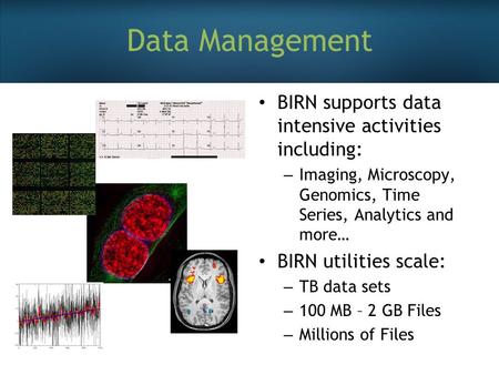 Data Management BIRN supports data intensive activities including: – Imaging, Microscopy, Genomics, Time Series, Analytics and more… BIRN utilities scale: