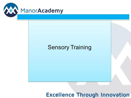 Sensory Training. Sensory Processing: Sensory Processing difficulties occurs when sensory information coming in from the senses is not interpreted efficiently.