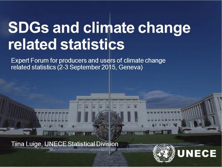 SDGs and climate change related statistics