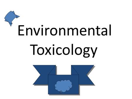 Environmental Toxicology. The environment It is the surrounding medium in which the animal affects and effect on it. * Macro-environment * Micro-environment.