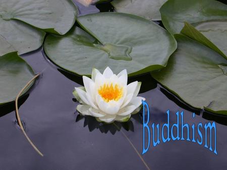 Introduction Hello class, today we will enlighten you with our wonderful religion. Buddhism!