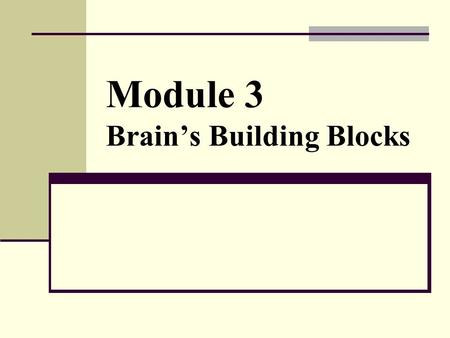 Module 3 Brain’s Building Blocks. The Human Brain 1350 gram > 3 pounds 1 trillion cells 2 types of brain cells Glial cells (900 billion) Neurons (100.
