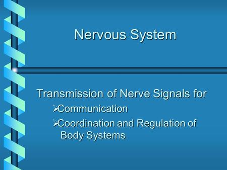 Nervous System Transmission of Nerve Signals for  Communication  Coordination and Regulation of Body Systems.