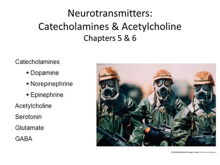 Neurotransmitters: Catecholamines & Acetylcholine Chapters 5 & 6 Catecholamines  Dopamine  Norepinephrine  Epinephrine Acetylcholine Serotonin Glutamate.