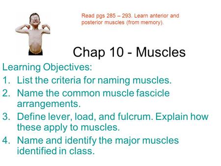 Chap 10 - Muscles Learning Objectives: