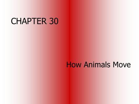 CHAPTER 30 How Animals Move. Locomotion water: provides support against gravity but allows for a high frictional resistance air: provides little support.