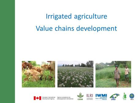 Minimum of 30 font size and maximum of 3 lines title Irrigated agriculture Value chains development.