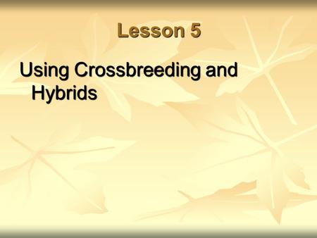 Lesson 5 Using Crossbreeding and Hybrids. Next Generation Science/Common Core Standards Addressed! HS ‐ LS1 ‐ 1. Construct an explanation based on evidence.
