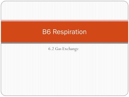 B6 Respiration 6.2 Gas Exchange.