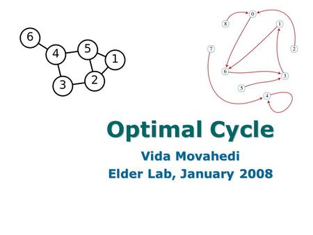 1 Optimal Cycle Vida Movahedi Elder Lab, January 2008.