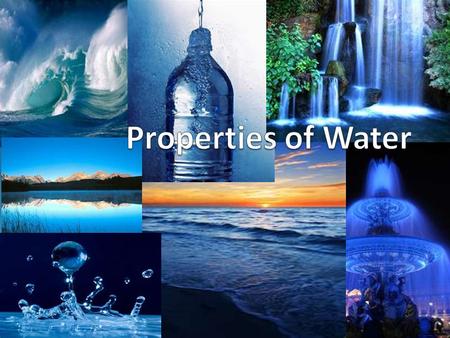 Water- it’s everywhere! Water is the key to our survival on Earth, it is our source of life Water is everywhere! It makes up about 70% percent of the.