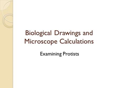Biological Drawings and Microscope Calculations Examining Protists.