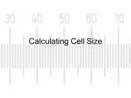 Calculating Cell Size.