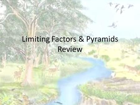 Limiting Factors & Pyramids Review. Limiting Factors: A limiting factor is anything that keeps a population from growing larger. FOOD WATER LIVING SPACE.