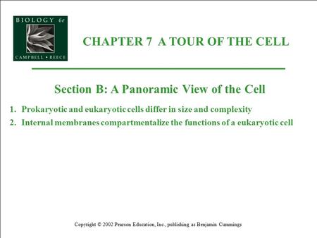 CHAPTER 7 A TOUR OF THE CELL Copyright © 2002 Pearson Education, Inc., publishing as Benjamin Cummings Section B: A Panoramic View of the Cell 1.Prokaryotic.