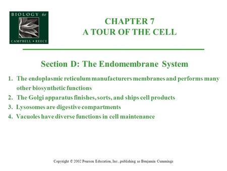 CHAPTER 7 A TOUR OF THE CELL Copyright © 2002 Pearson Education, Inc., publishing as Benjamin Cummings Section D: The Endomembrane System 1.The endoplasmic.