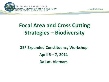 Focal Area and Cross Cutting Strategies – Biodiversity GEF Expanded Constituency Workshop April 5 – 7, 2011 Da Lat, Vietnam.