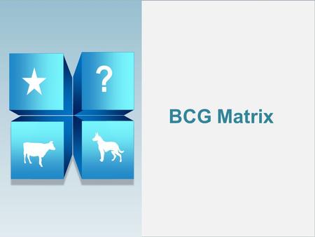 BCG Matrix.