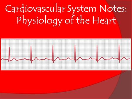 Cardiovascular System Notes: Physiology of the Heart