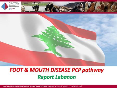 FOOT & MOUTH DISEASE PCP pathway Report Lebanon.  Official name: Republic of Lebanon  Capital: Beirut  Area: 10,452 sq km  Population: 3,874,050 (2006.
