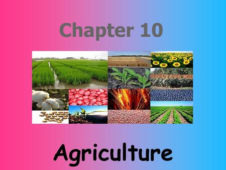 Chapter 10 Agriculture. Economic Activities Primary Sector The primary sector of the economy extracts or harvests products from the earth. The primary.