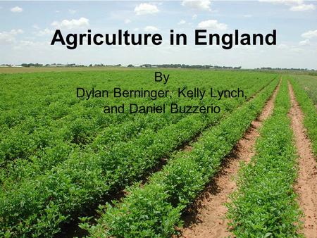 Agriculture in England