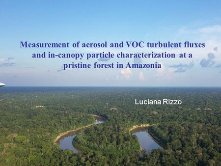 Measurement of aerosol and VOC turbulent fluxes and in-canopy particle characterization at a pristine forest in Amazonia Luciana Rizzo.