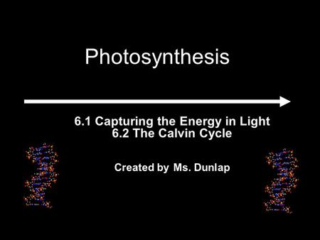 6.1 Capturing the Energy in Light 6.2 The Calvin Cycle