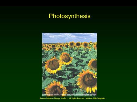 Raven - Johnson - Biology: 6th Ed. - All Rights Reserved - McGraw Hill Companies Photosynthesis Copyright © McGraw-Hill Companies Permission required for.