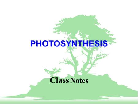 PHOTOSYNTHESIS Class Notes. PHOTOSYNTHESIS F Photosynthesis is ability of a plant to turn sunlight, air, and water into sugar (energy). F The overall.