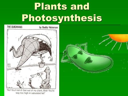 Plants and Photosynthesis. Plant cell Only in Plants  Chloroplast  Cell Wall  Vacuole (?)
