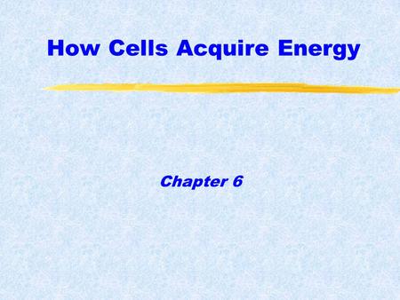How Cells Acquire Energy Chapter 6. zLight is central to the life of a plant zPhotosynthesis is the most important chemical process on Earth yIt provides.
